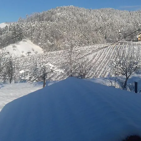 Pohorje Retreat I