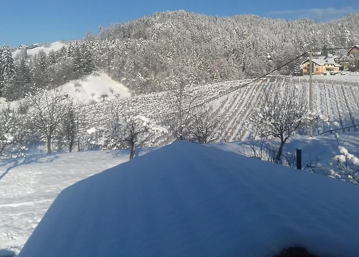 Rural Retreat - Comfort Oasis